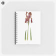 1-36_The-Genus-Iris_memo