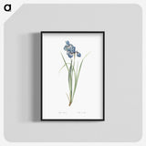 1-36_The-Lilies_blk-crop