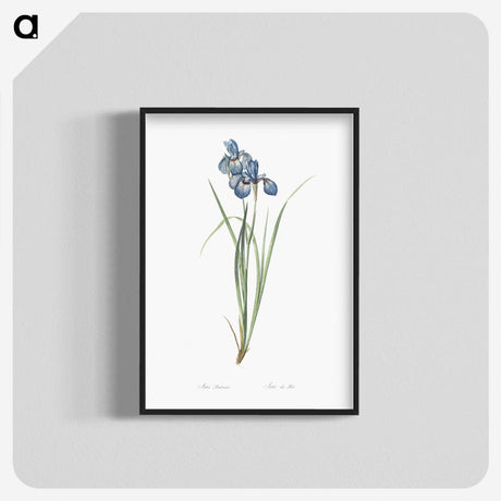 1-36_The-Lilies_blk-crop