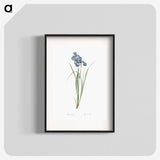1-36_The-Lilies_blk