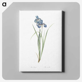 1-36_The-Lilies_canvas