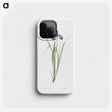1-36_The-Lilies_phone
