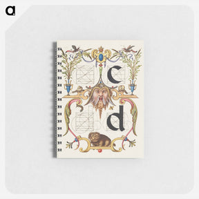 アートメモ帳-Guide for Constructing the Letters c and d from Mira Calligraphiae Monumenta
 - 書道のお手本 Memo.