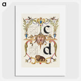 アートポスター-Guide for Constructing the Letters c and d from Mira Calligraphiae Monumenta
 - 書道のお手本 Poster.