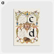 アートポストカード-Guide for Constructing the Letters c and d from Mira Calligraphiae Monumenta
 - 書道のお手本 Postcard.
