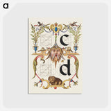 アートポストカード-Guide for Constructing the Letters c and d from Mira Calligraphiae Monumenta
 - 書道のお手本 Postcard.