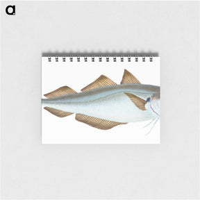 1-36_The-Natural-History-of-British-Fishes_memo