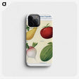 1-36_The-Open-Door-to-Independence_phone
