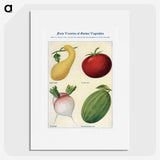 1-36_The-Open-Door-to-Independence_picture
