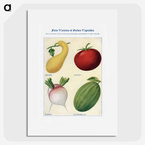 1-36_The-Open-Door-to-Independence_picture