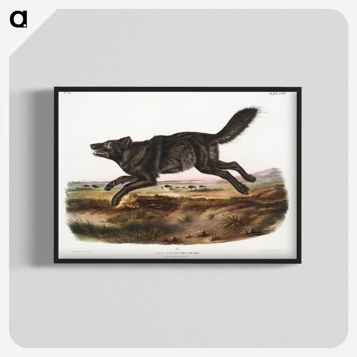 1-36_The-Viviparous-Quadrupeds_blk-crop