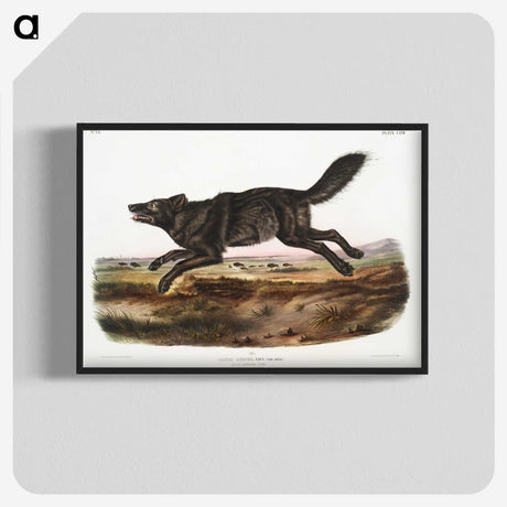 1-36_The-Viviparous-Quadrupeds_blk-crop