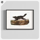1-36_The-Viviparous-Quadrupeds_blk
