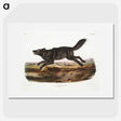 1-36_The-Viviparous-Quadrupeds_picture