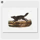 1-36_The-Viviparous-Quadrupeds_picture