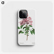 1-36_Treatise-on-Trees-and-Shrubs_phone