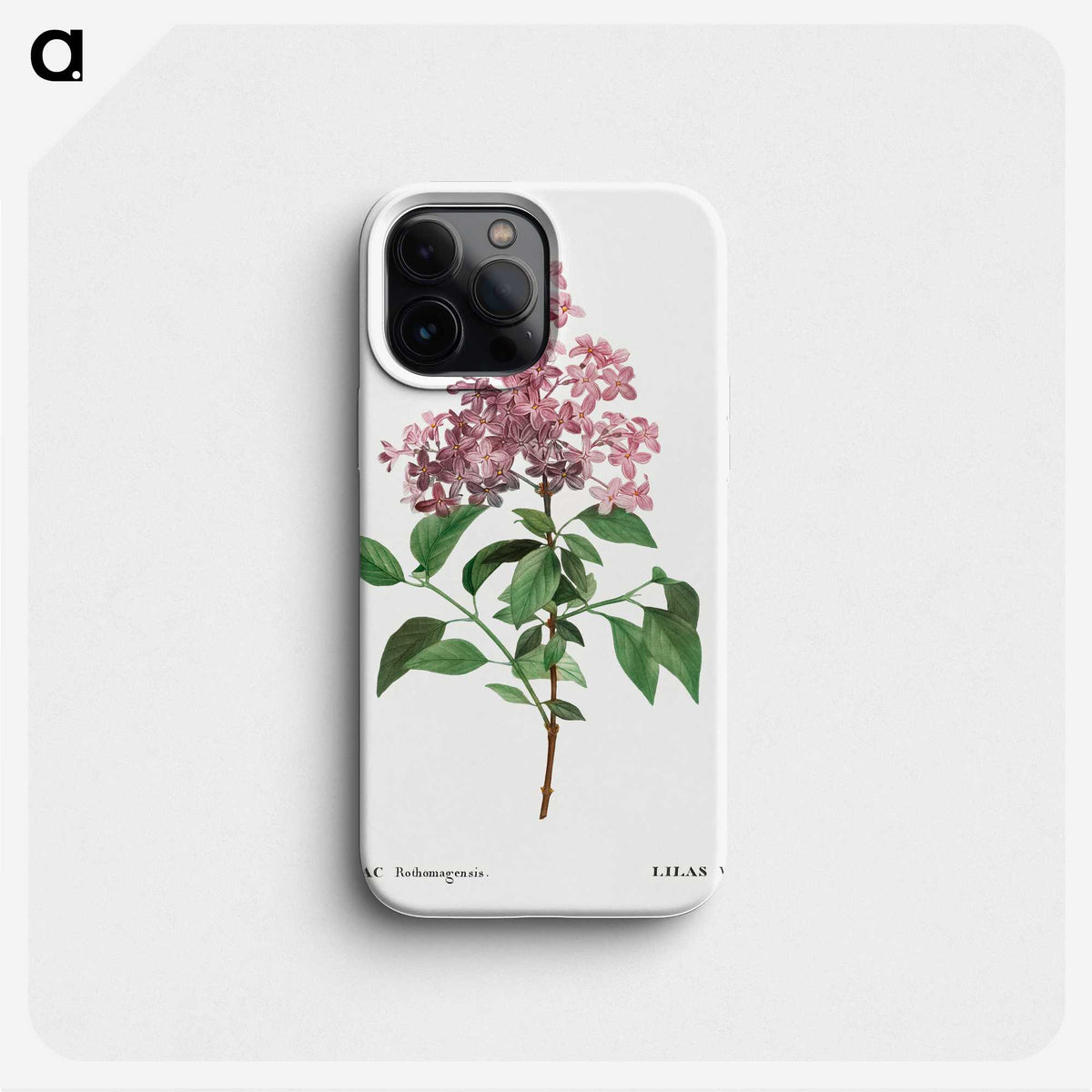 1-36_Treatise-on-Trees-and-Shrubs_phone