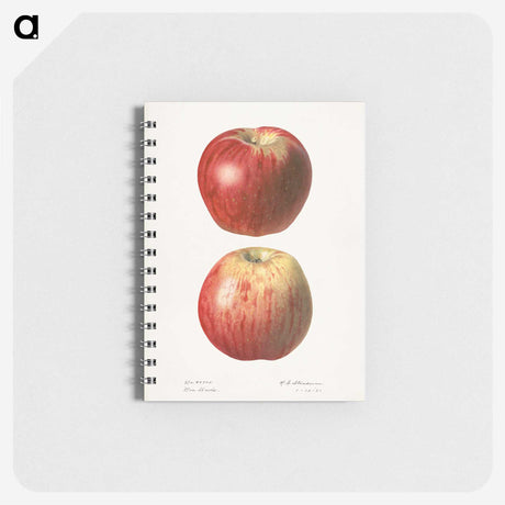 1-36_USDA-Watercolor-Fruit-Painting-Collection_memo