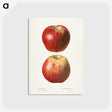 1-36_USDA-Watercolor-Fruit-Painting-Collection_postcard
