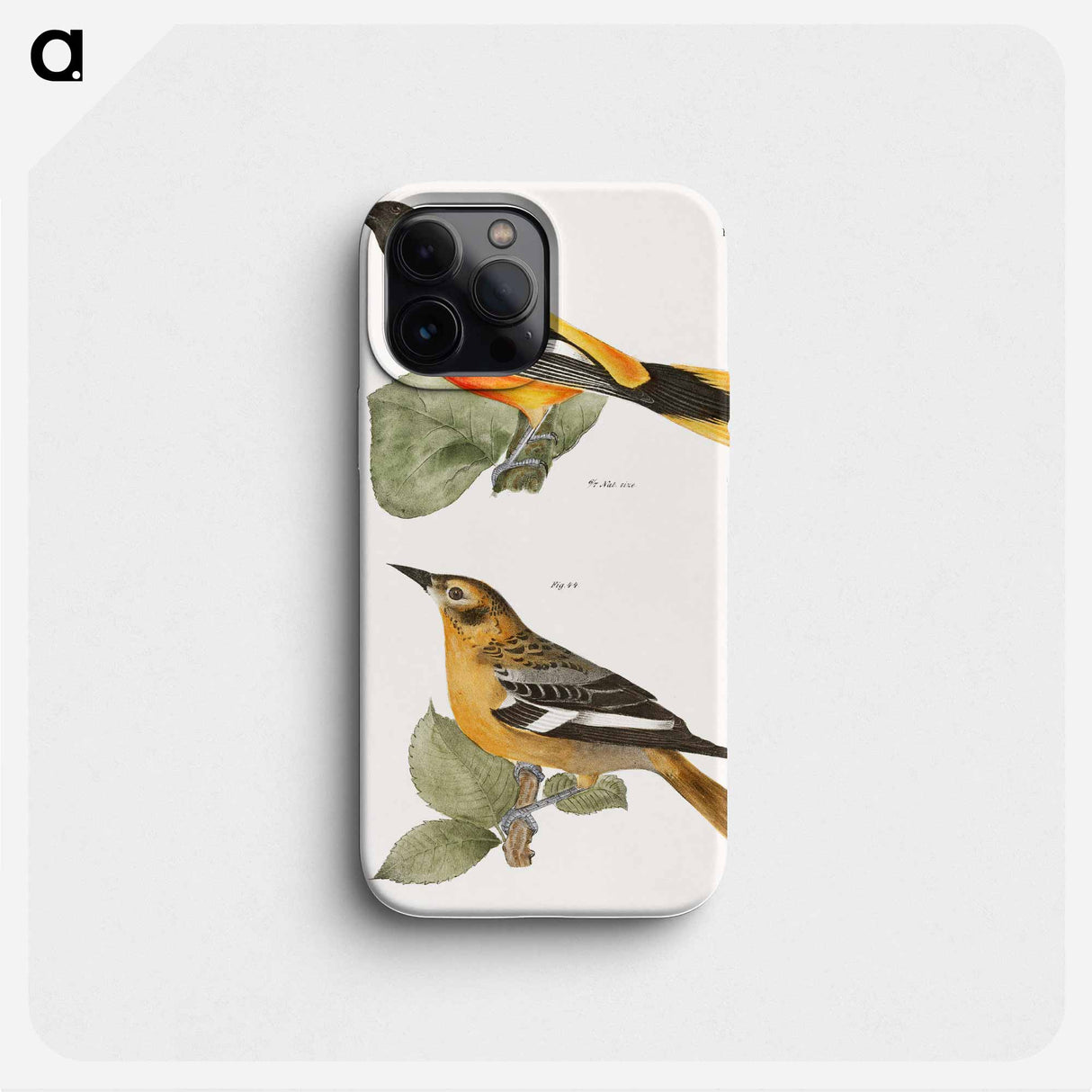 The Golden Oriole - ニューヨークの動物学 Phone Case.