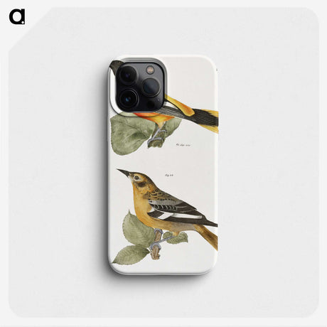 1-36_Zoology-of-New-York_phone