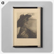 1-37_Alfred-Stieglitz_canvas