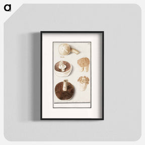 アートポスター-Common meadow mushroom - アンセルムス ボエティウス デ ブート Poster.