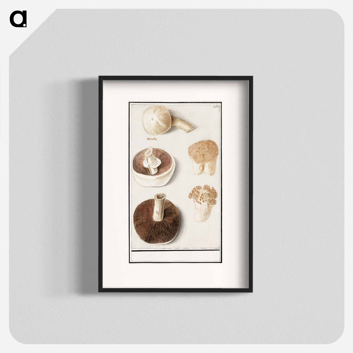 Common meadow mushroom - アンセルムス ボエティウス デ ブート Poster.