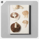 Common meadow mushroom - アンセルムス ボエティウス デ ブート Canvas.