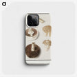 1-37_Anselmus-Boetius-de-Boodt_phone
