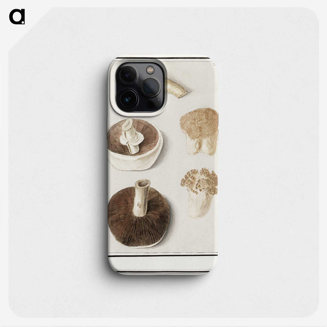 1-37_Anselmus-Boetius-de-Boodt_phone