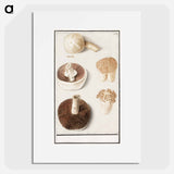 Common meadow mushroom - アンセルムス ボエティウス デ ブート Poster.