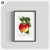 1-37_Botanical-Specimen-Plates_blk