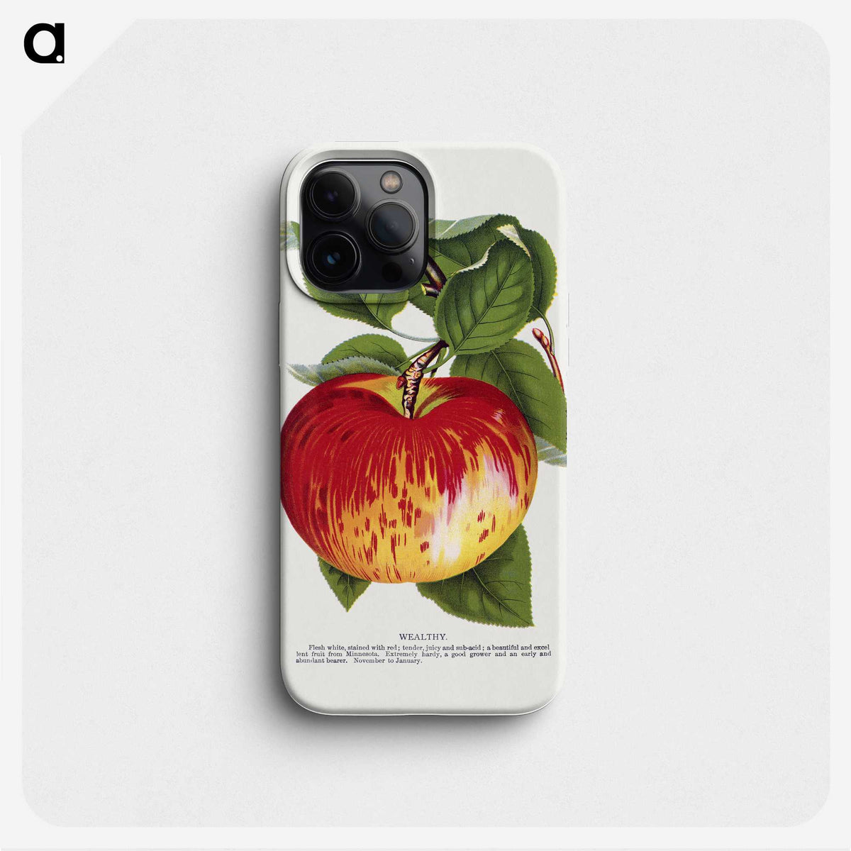 1-37_Botanical-Specimen-Plates_phone
