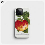1-37_Botanical-Specimen-Plates_phone