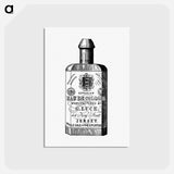 アートポストカード-Cologne Bottle from Jersey Illustrated
 - 大英図書館 Postcard.