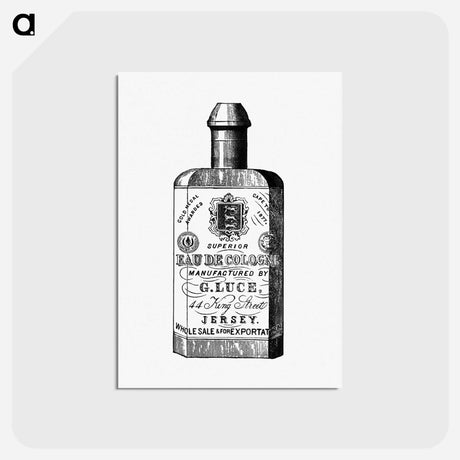アートポストカード-Cologne Bottle from Jersey Illustrated
 - 大英図書館 Postcard.