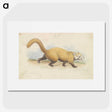 1-37_Charles-Hamilton-Smith_picture