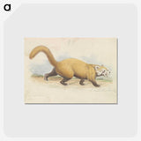 1-37_Charles-Hamilton-Smith_postcard