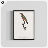 1-37_Des-Oiseaux-de-Paradis_blk-crop