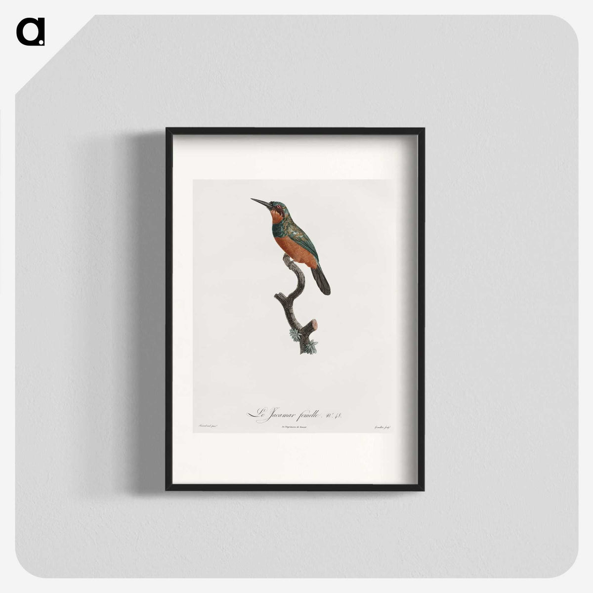 1-37_Des-Oiseaux-de-Paradis_blk