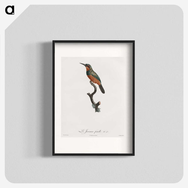 1-37_Des-Oiseaux-de-Paradis_blk