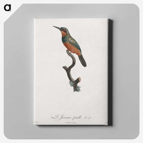 1-37_Des-Oiseaux-de-Paradis_canvas