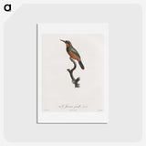 1-37_Des-Oiseaux-de-Paradis_hagaki