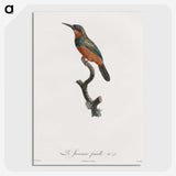 1-37_Des-Oiseaux-de-Paradis_picture-crop