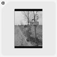1-37_Dorothea-Lange_postcard
