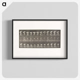 1-37_Eadweard-Muybridge_blk