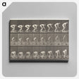 1-37_Eadweard-Muybridge_canvas