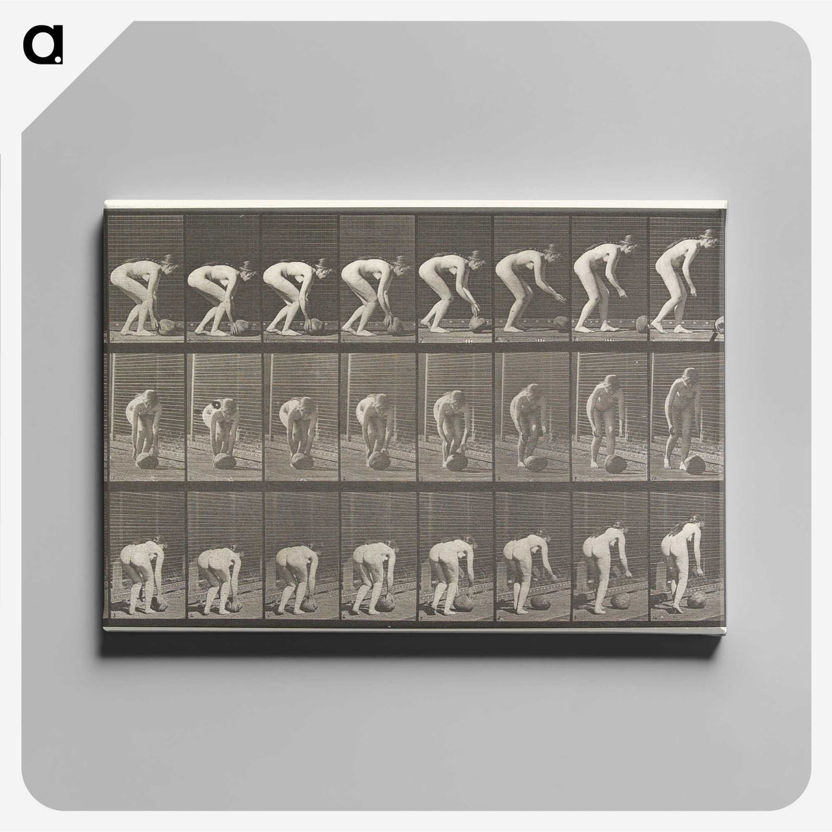 1-37_Eadweard-Muybridge_canvas