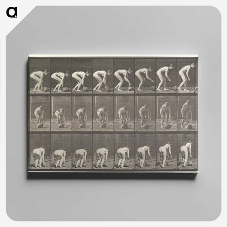 1-37_Eadweard-Muybridge_canvas
